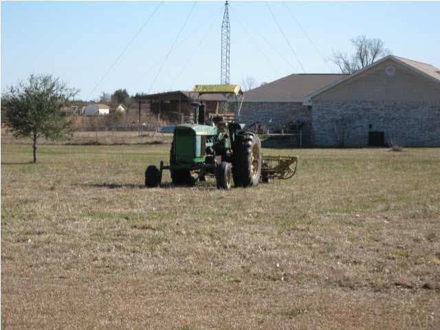 4900 Chestnut Road Molino, FL 32577 - Photo 11 of 21 Farmland