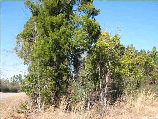4900 Chestnut Road Molino, FL 32577 - Photo 14 of 21 Gallery Image 14