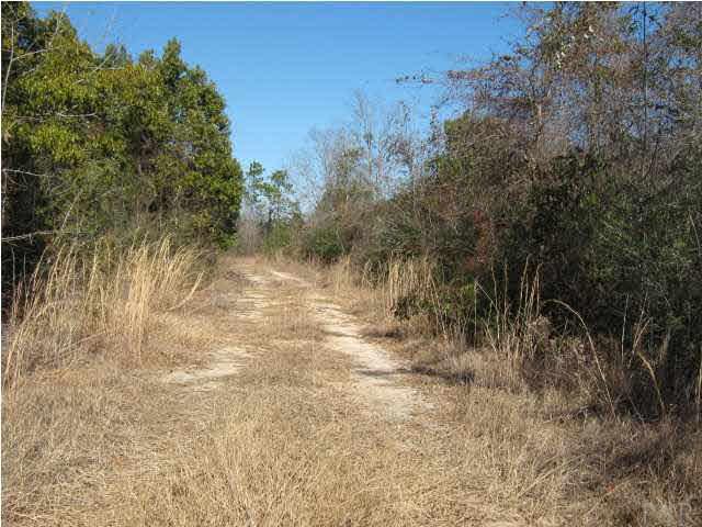 4900 Chestnut Road Molino, FL 32577 - Photo 15 of 21 Gallery Image 15