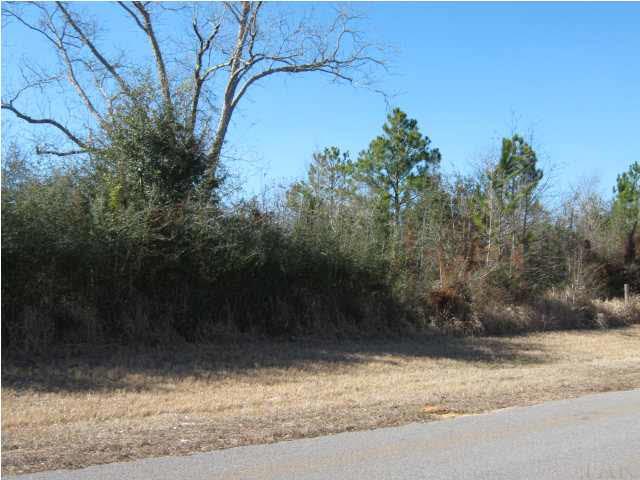 4900 Chestnut Road Molino, FL 32577 - Photo 2 of 21 County maintained paved road at front of property