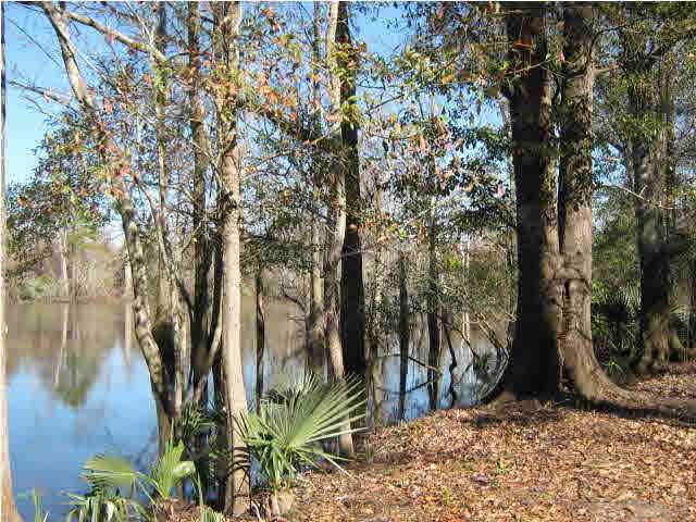 4900 Chestnut Road Molino, FL 32577 - Photo 21 of 21 Escambia River on 4.5 miles for fishing and hunting. Bring your boat.