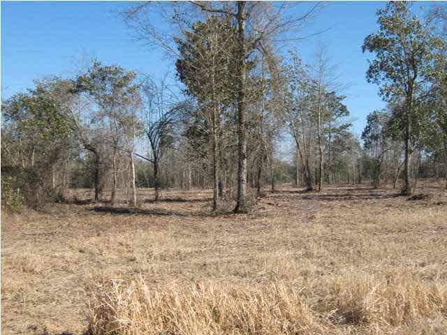4900 Chestnut Road Molino, FL 32577 - Photo 6 of 21 Gallery Image 6