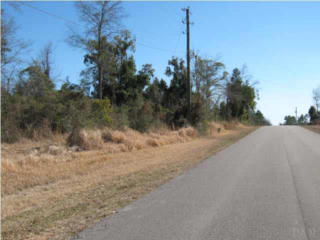 4900 Chestnut Road Molino, FL 32577 - Photo 7 of 21 Gallery Image 7
