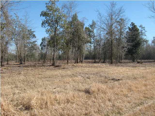 4900 Chestnut Road Molino, FL 32577 - Photo 8 of 21 Gallery Image 8