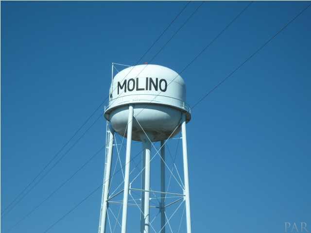 4900 Chestnut Road Molino, FL 32577 - Photo 10 of 21 In Molino, Florida only 11 miles from 9 mile road.