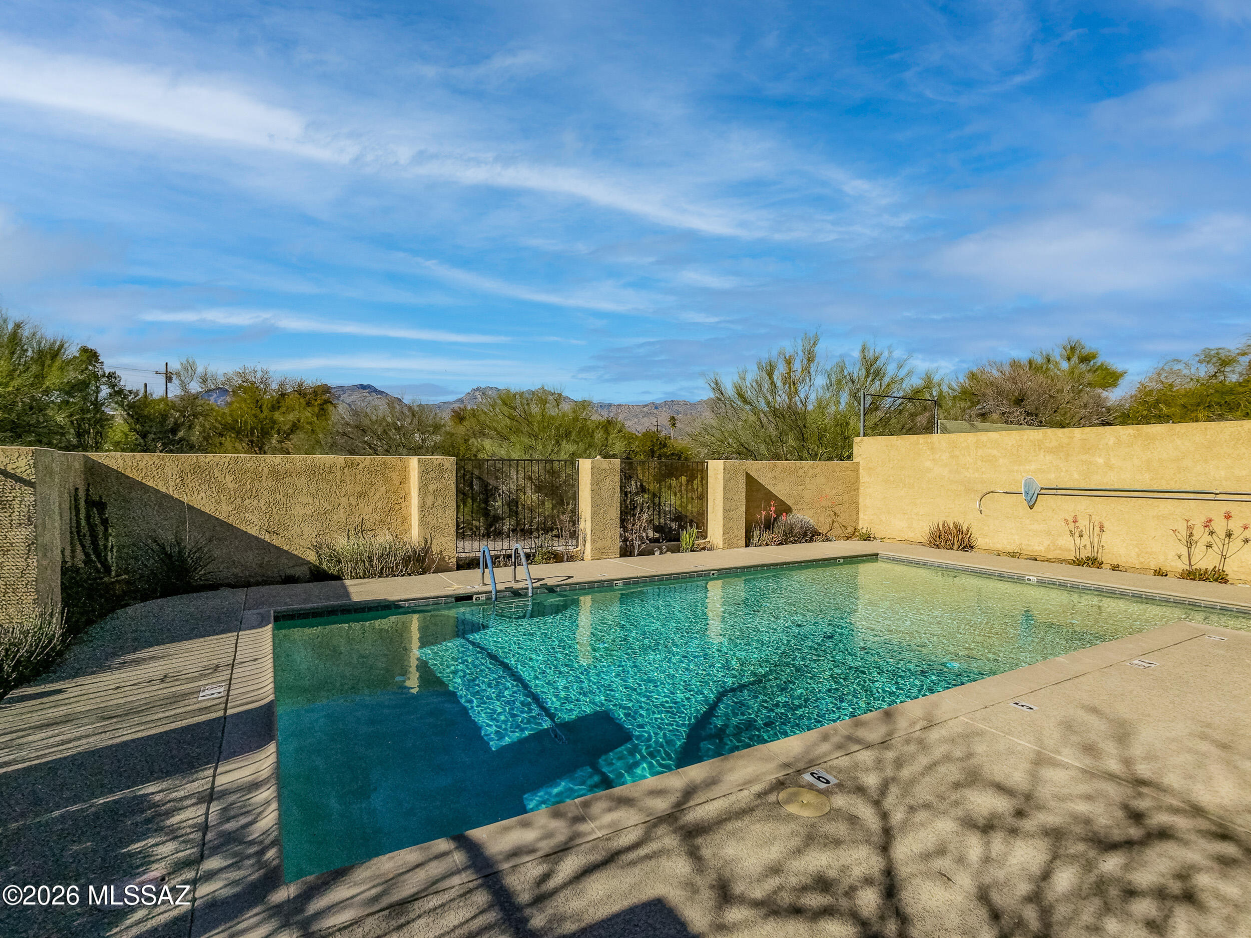 6941 East Rivercrest Road Tucson, AZ 85750 - Photo 27 of 32 a view of a terrace with a garden
