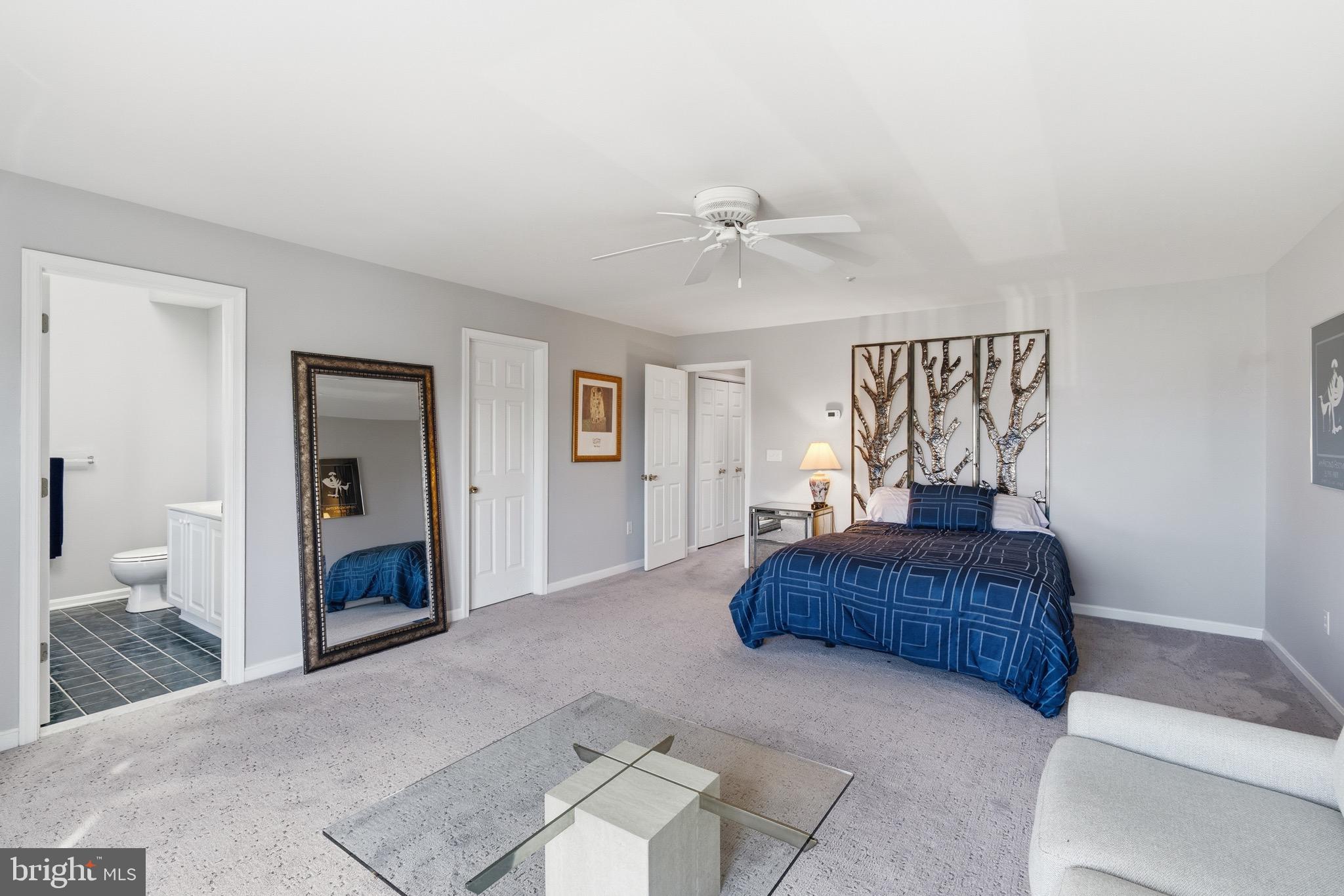 906 Auckland Way Chester, MD 21619 - Photo 14 of 36 Primary with en suite bath and walk in closet