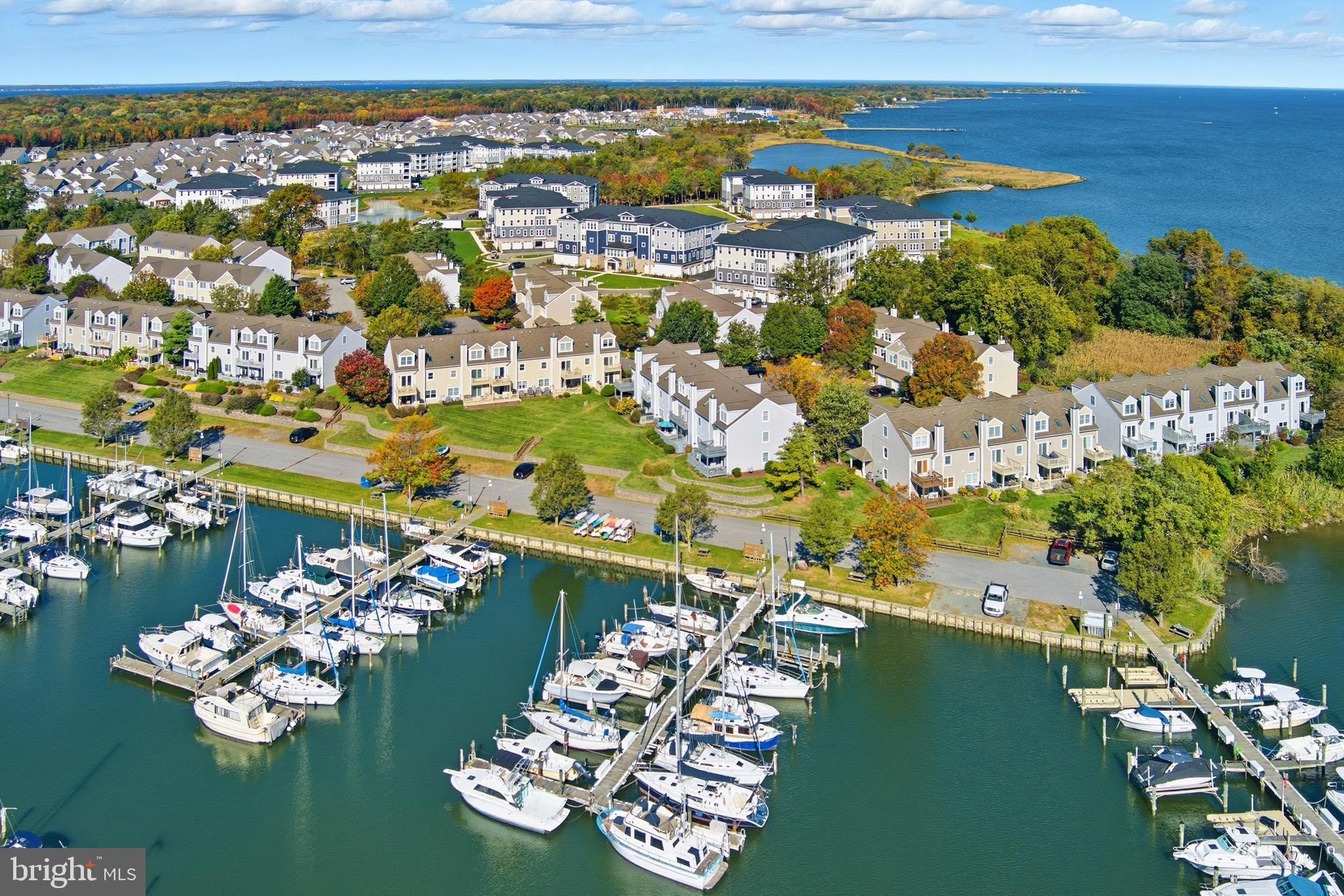 906 Auckland Way Chester, MD 21619 - Photo 26 of 36 Aerial view