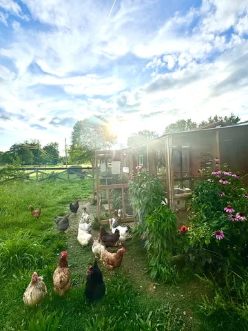 $975,000 | 932 Tyree Springs Road, White House, TN 37188