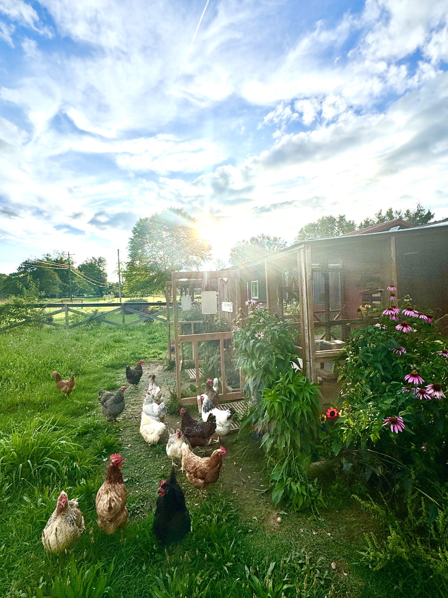 932 Tyree Springs Road White House, TN 37188 - Photo 93 of 99