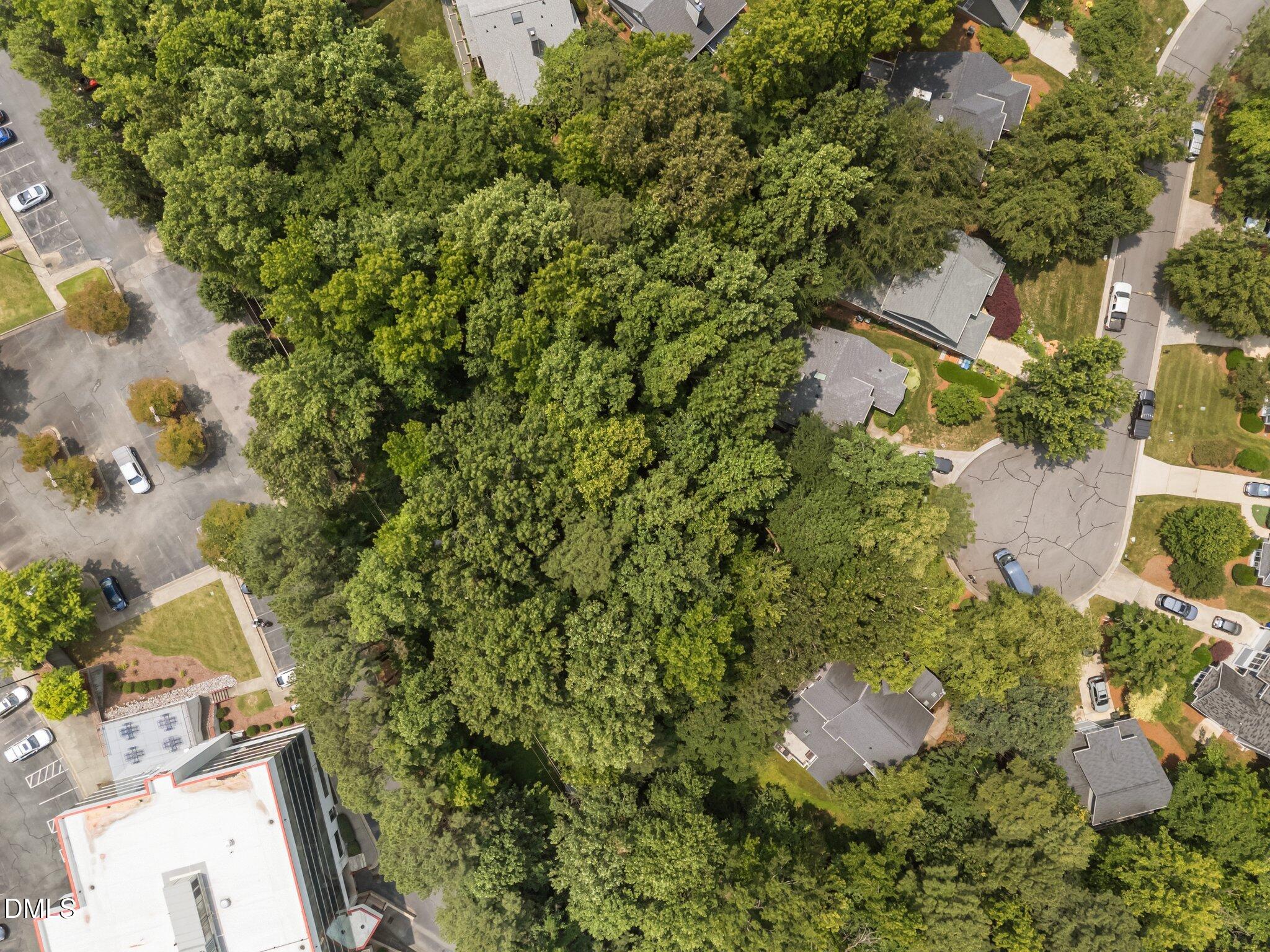 16 Marchmont Court Durham, NC 27705 - Photo 6 of 8 an aerial view of residential house with outdoor space and trees all around