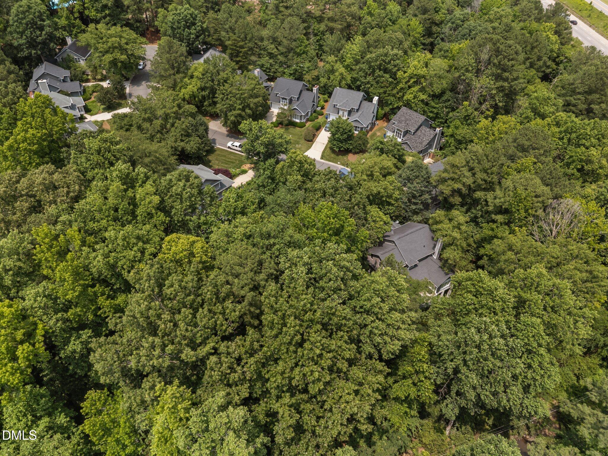 16 Marchmont Court Durham, NC 27705 - Photo 7 of 8 a view of a house with a lush green forest