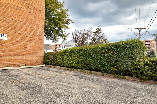a view of a yard with plants and trees