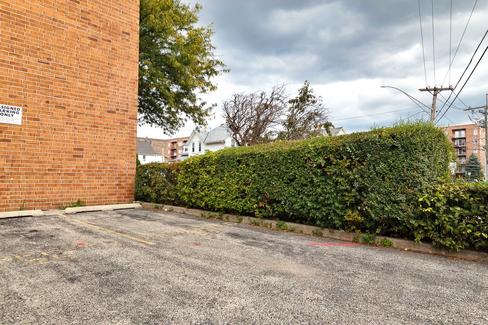 1389 Perry Street, Unit 303 Des Plaines, IL 60016 - Photo 24 of 25 a view of a yard with plants and trees