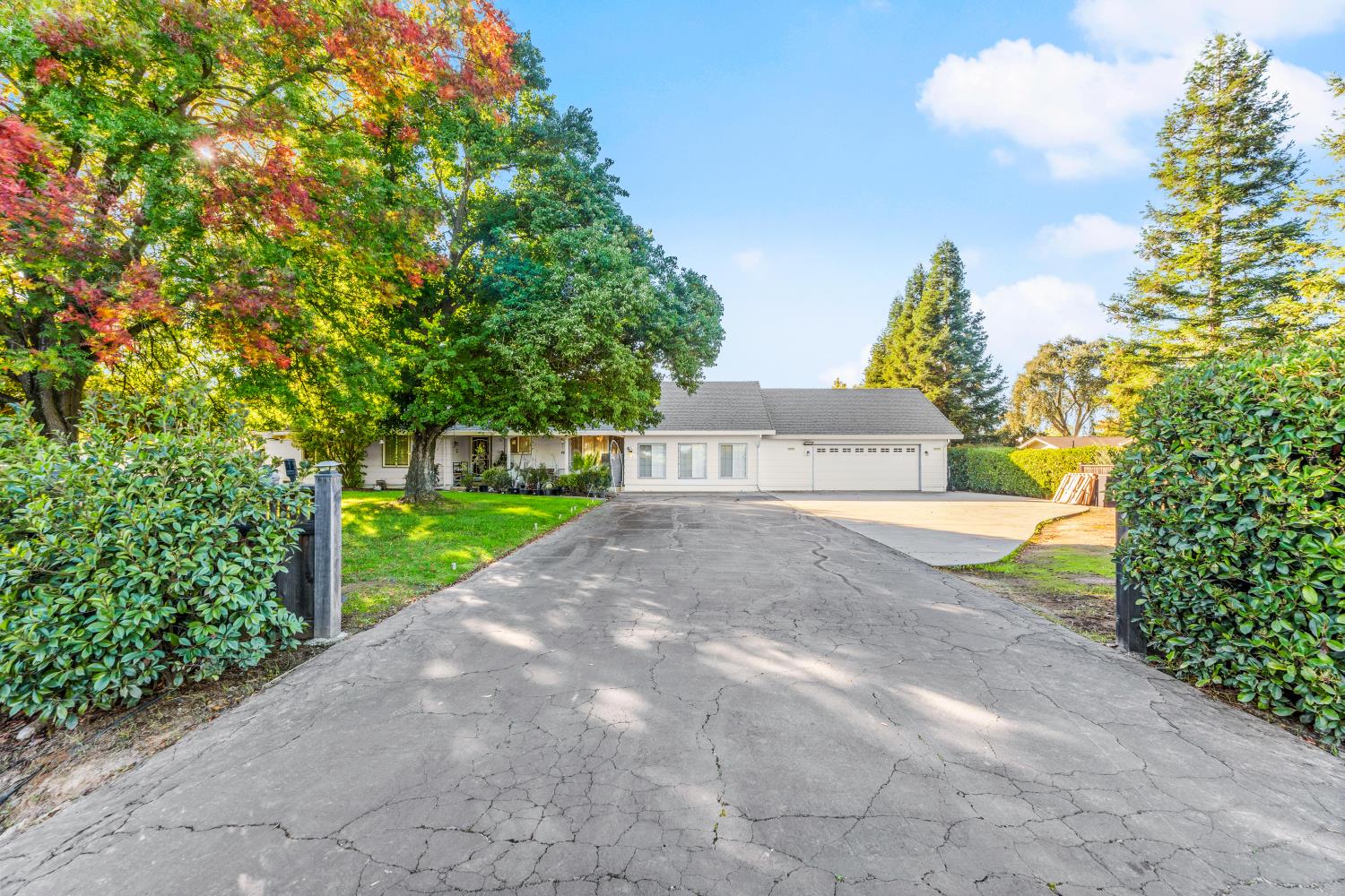 8850 Bader Road Elk Grove, CA 95624 - Photo 2 of 43 a view of a park with large trees
