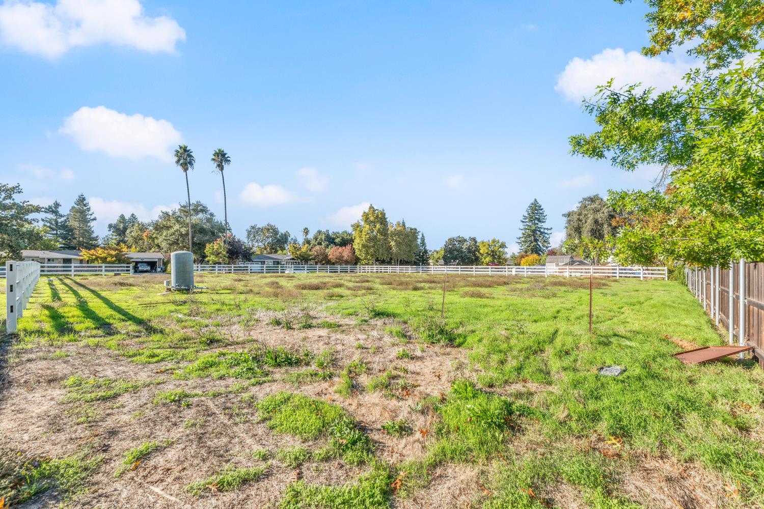 8850 Bader Road Elk Grove, CA 95624 - Photo 42 of 43 a view of a garden with a lake