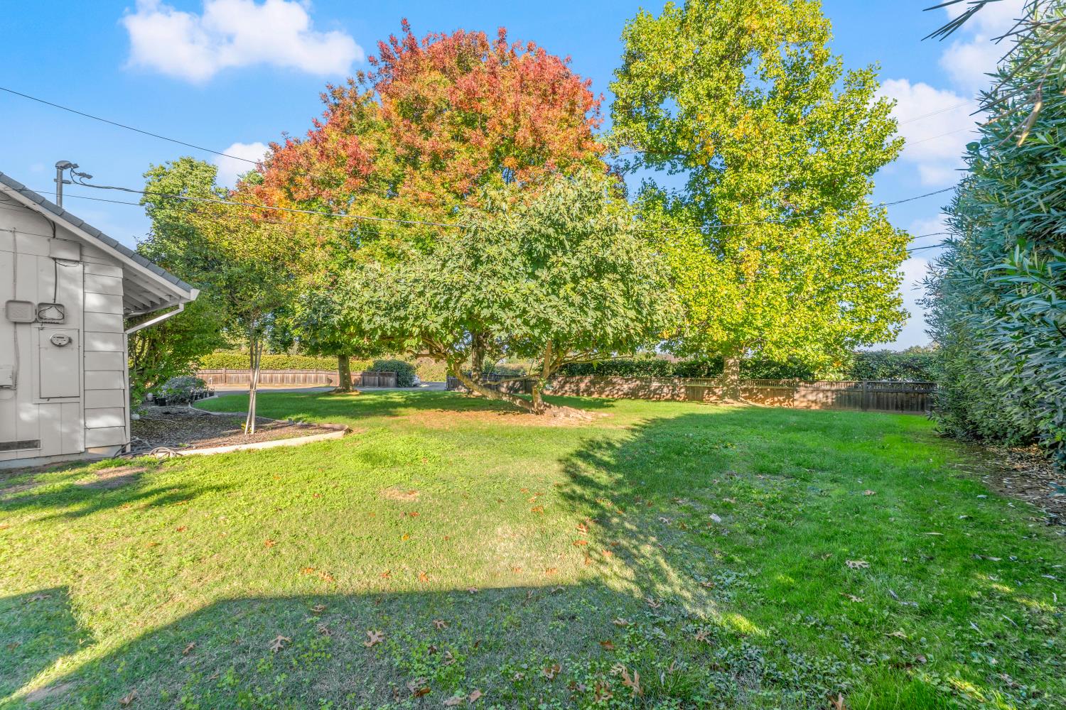 8850 Bader Road Elk Grove, CA 95624 - Photo 6 of 43 a view of yard with swimming pool and trees in the background