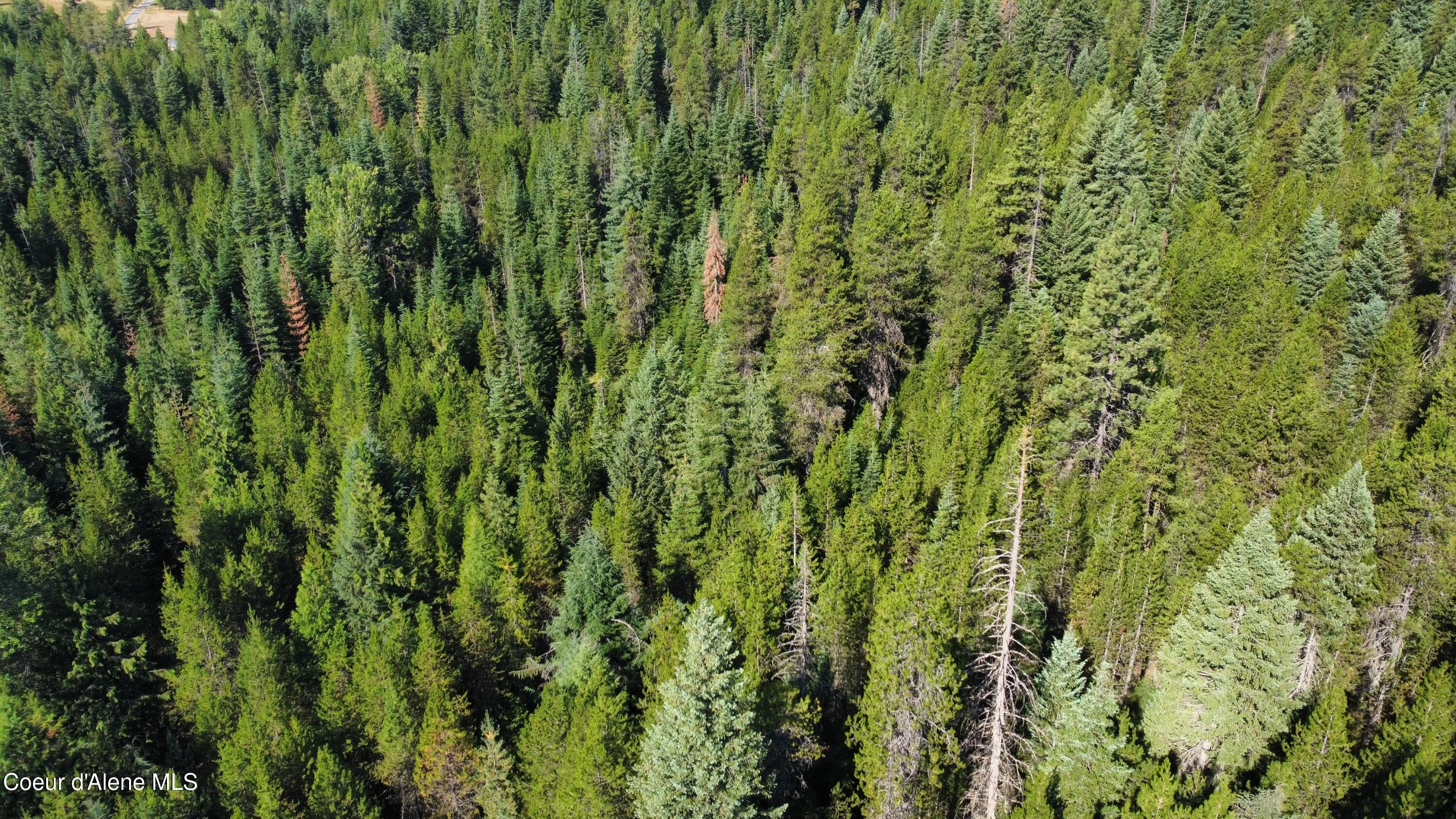 676 Willow Loop Road Fernwood, ID 83830 - Photo 14 of 15 20260817_095432_82_1786985696642