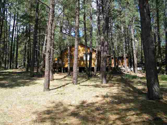 123 East Bonanza Road Pinetop, AZ 85935 - Photo 3 of 9