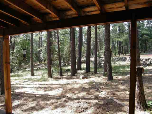 123 East Bonanza Road Pinetop, AZ 85935 - Photo 9 of 9