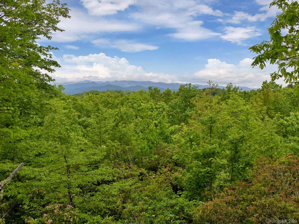 239 Lone Hickory Road Brevard, NC 28712 - Photo 4 of 44 Gallery Image 4