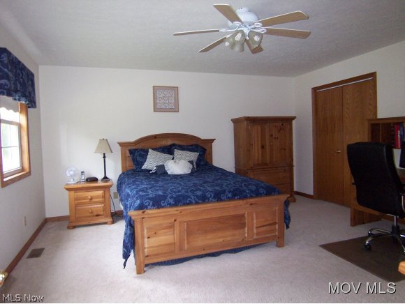 180 Pineview Road Waverly, WV 26184 - Photo 16 of 21