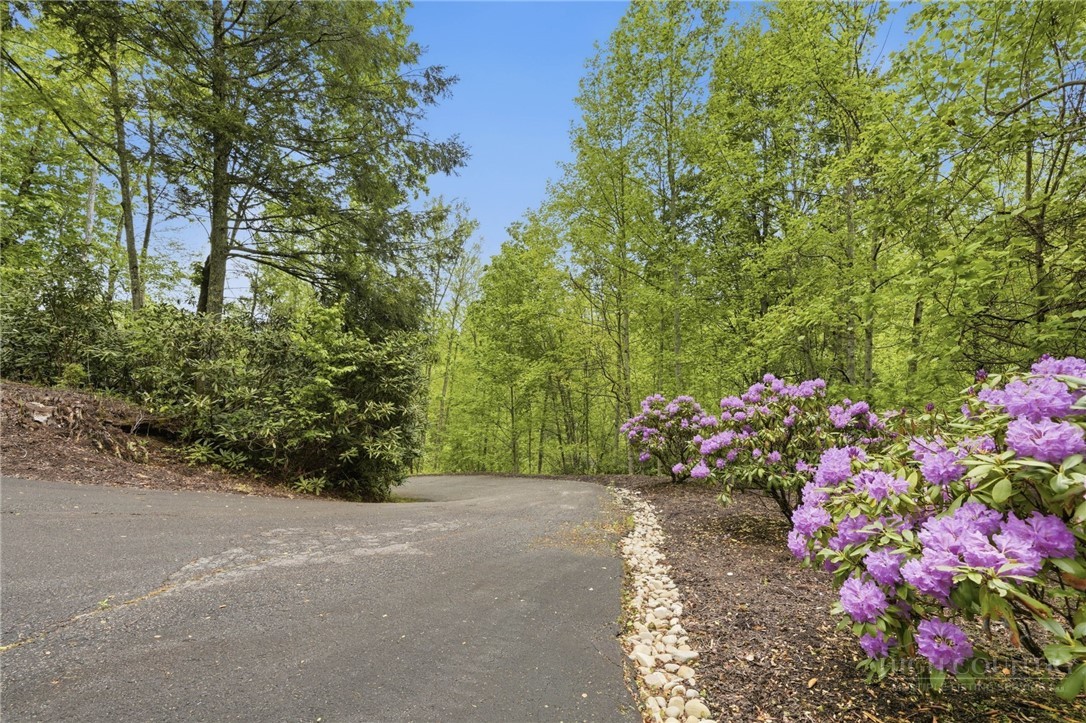 405 Woodlake Loop Road Elk Park, NC 28622 - Photo 25 of 26