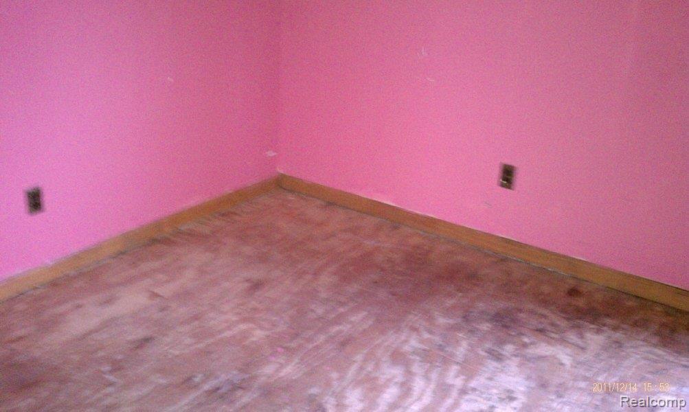 19141 Mapleview Street Detroit, MI 48205 - Photo 11 of 13 RES01206.jpg