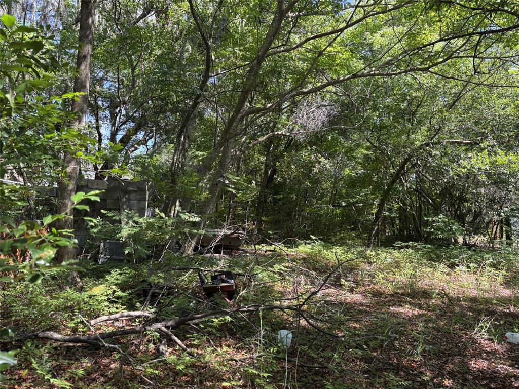 12506 Walton Avenue New Port Richey, FL 34654 - Photo 4 of 24