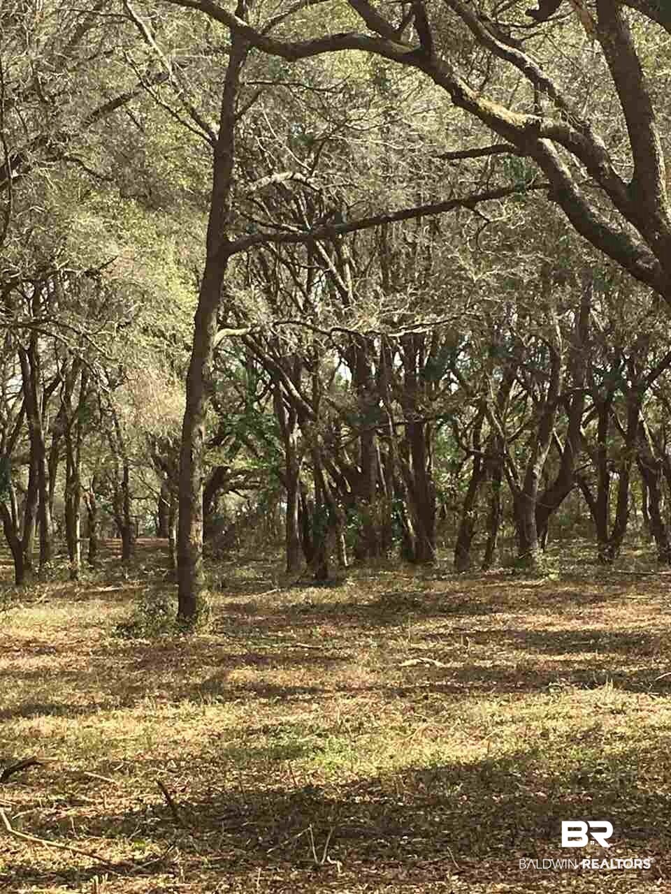 9690 Sherman Road Foley, AL 36535 - Photo 18 of 19