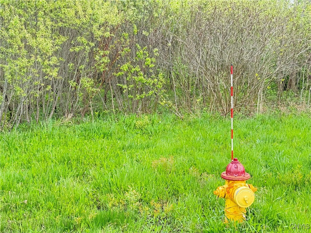 0 Klocks Corners Road Oswego, NY 13126 - Photo 4 of 20