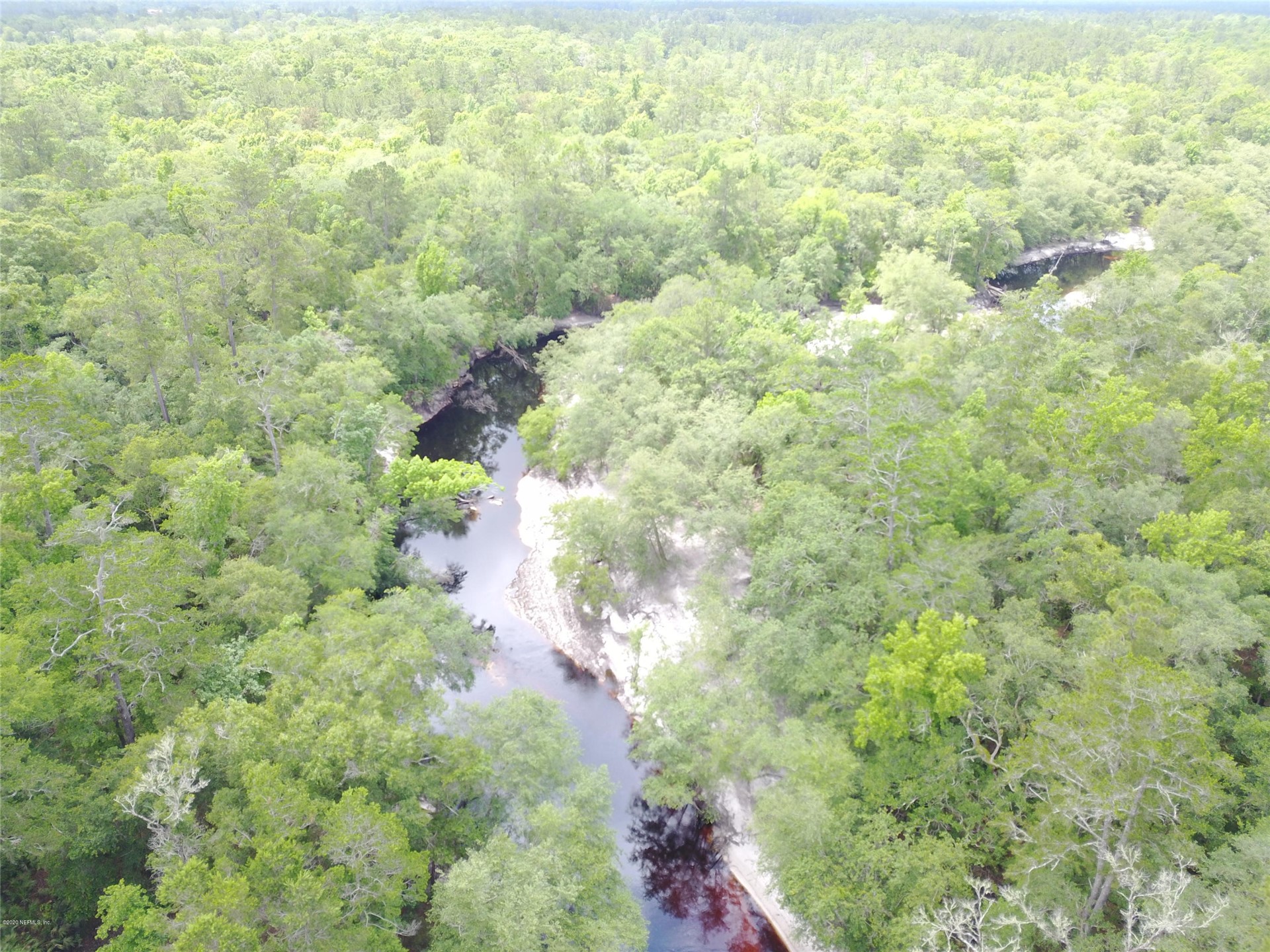 15433 Bullock Bluff Road Bryceville, FL 32009 - Photo 11 of 17 a view of a yard