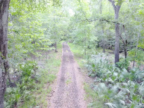 a view of a pathway both side of yard