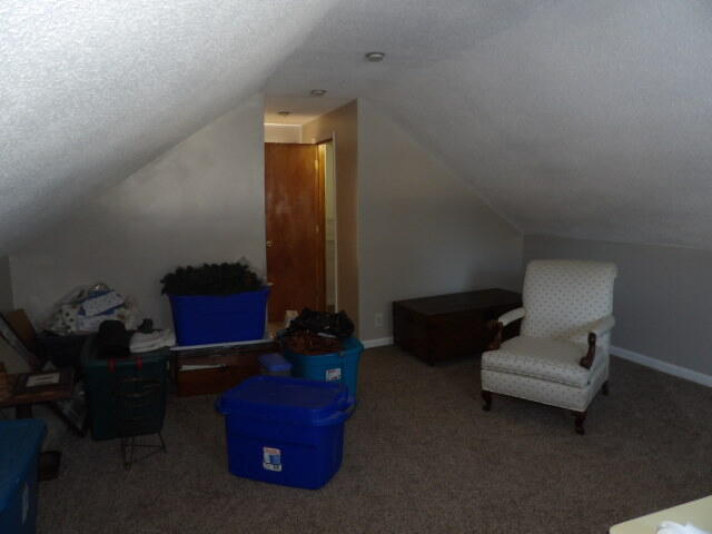 141 Sheldon Street Climax, MI 49034 - Photo 13 of 19 100_0020