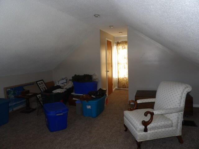 141 Sheldon Street Climax, MI 49034 - Photo 15 of 19 100_0022