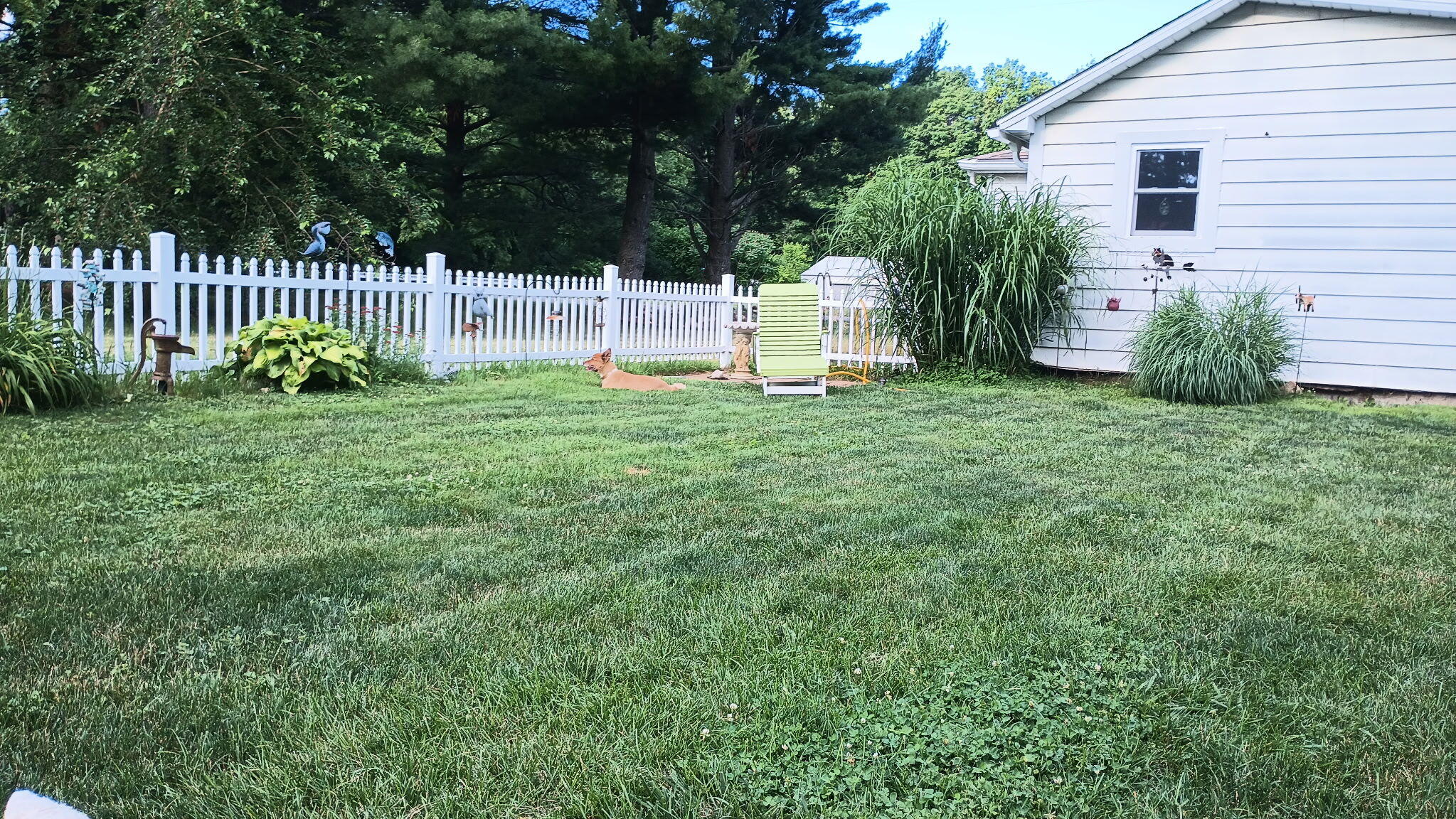141 Sheldon Street Climax, MI 49034 - Photo 17 of 18 1000008570