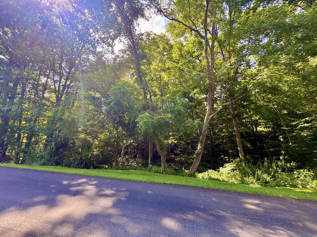 Tbd Scratch Gravel Road, Unit 38 Marion, VA 24354 - Photo 2 of 7 Gallery Image 2