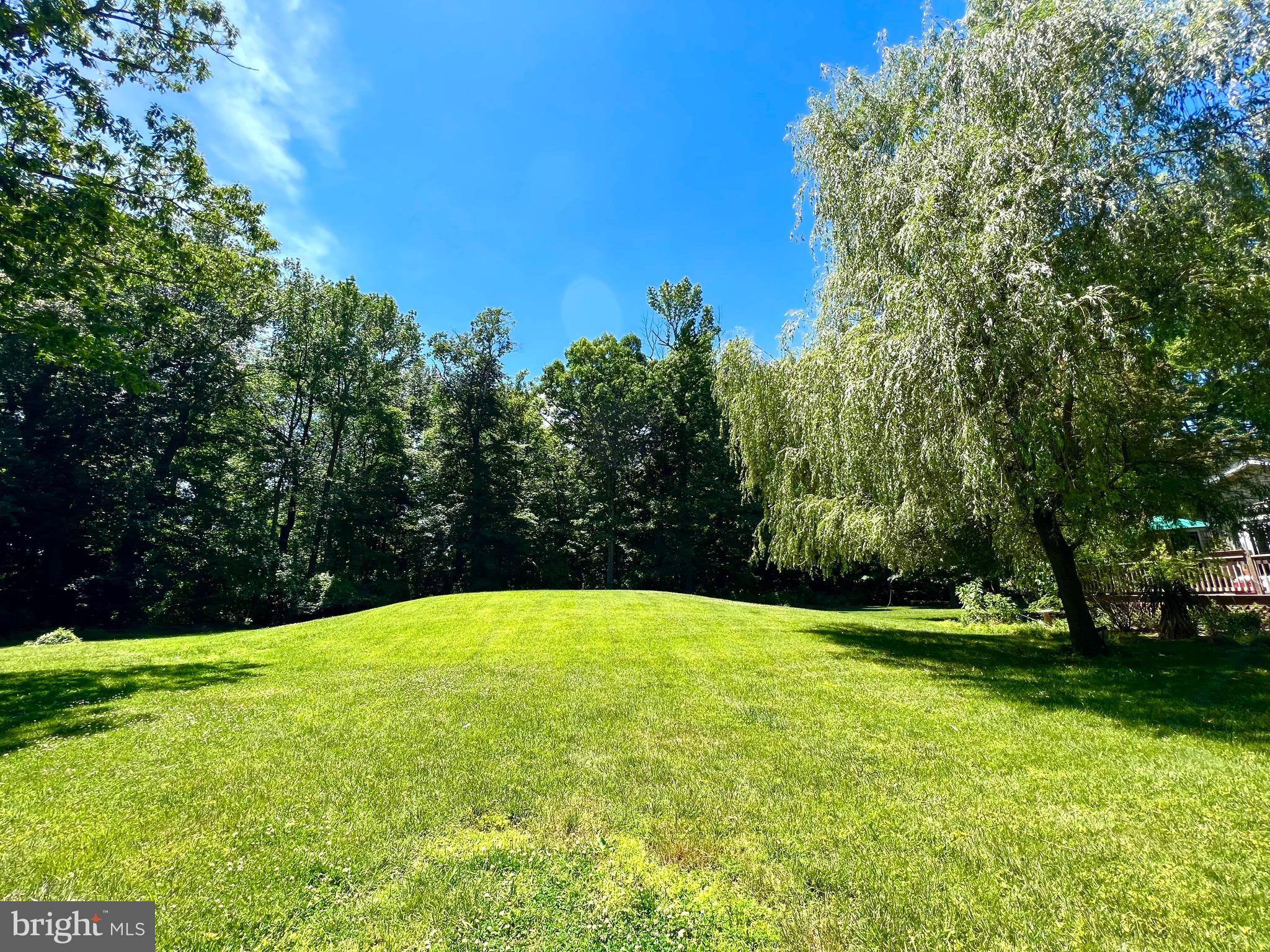 269 Edgebrook Road Hamilton, NJ 08691 - Photo 4 of 21 Parklike yard