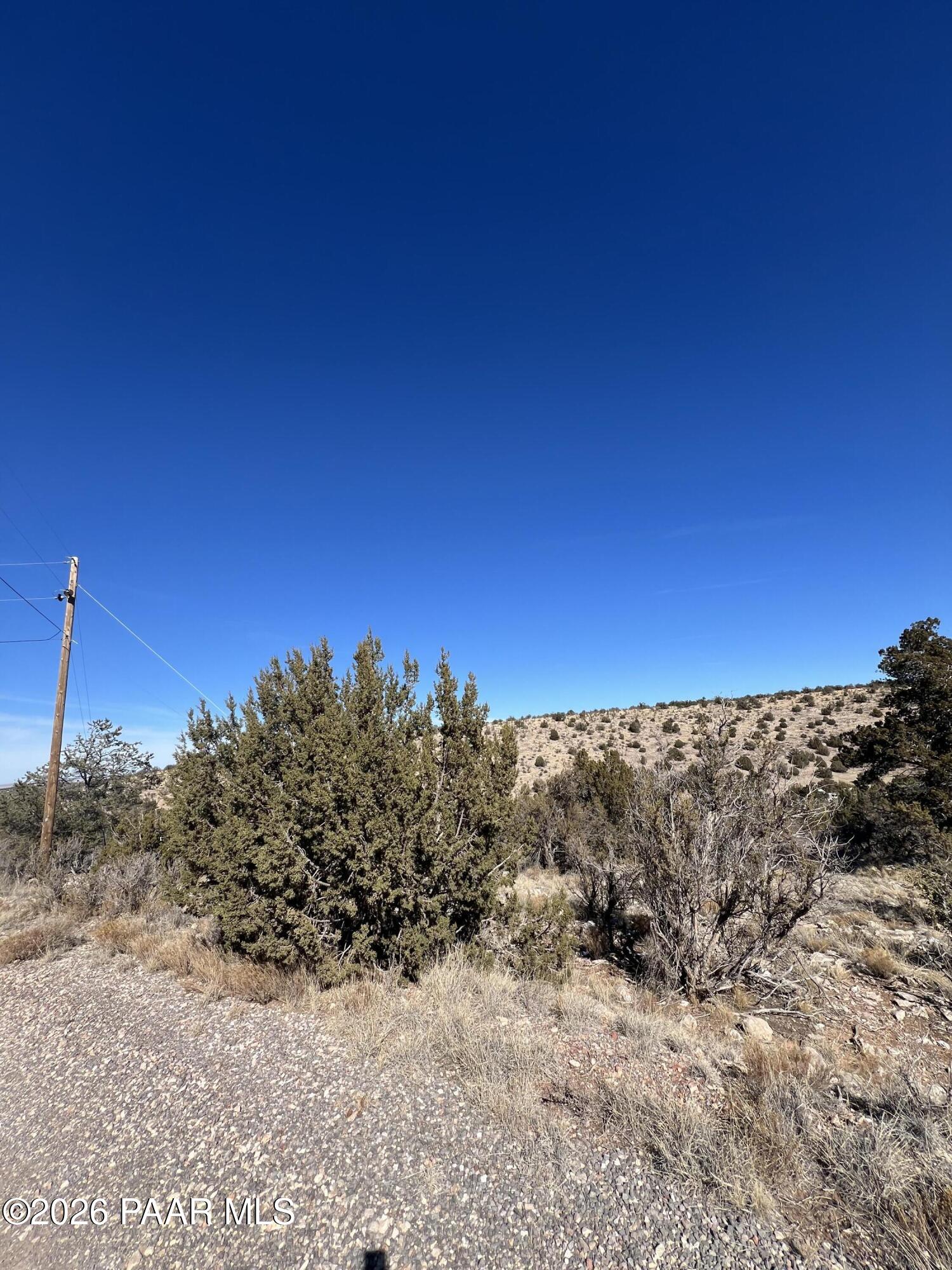 29740 Rock Ridge Road Seligman, AZ 86337 - Photo 2 of 5 a view of a dry yard with trees in the background