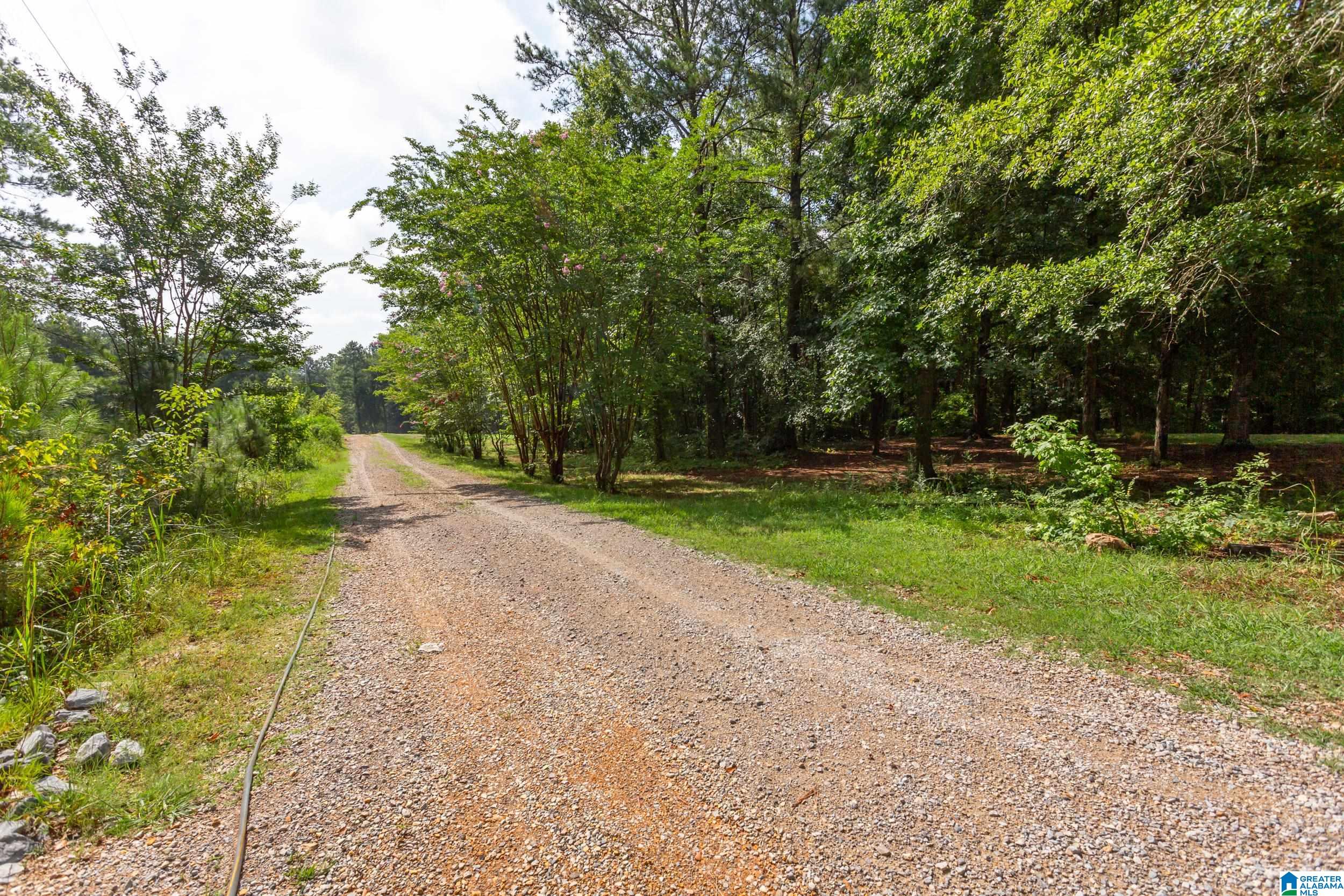 631 Holland-Finley Road Jacksonville, AL 36265 - Photo 24 of 26