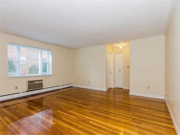 55 Colborne Road, Unit 1 Boston, MA 02135 - Photo 2 of 13 Gallery Image 2