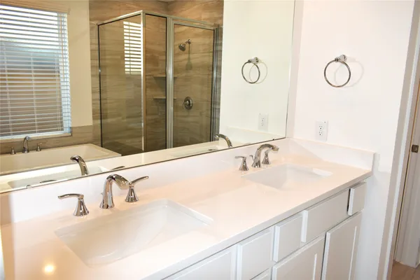 a bathroom with a sink and a large mirror