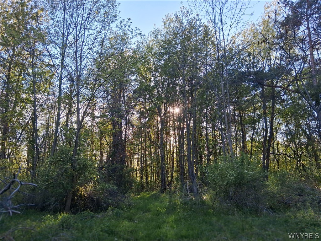 5565 Ridge Road Newfane, NY 14094 - Photo 48 of 50