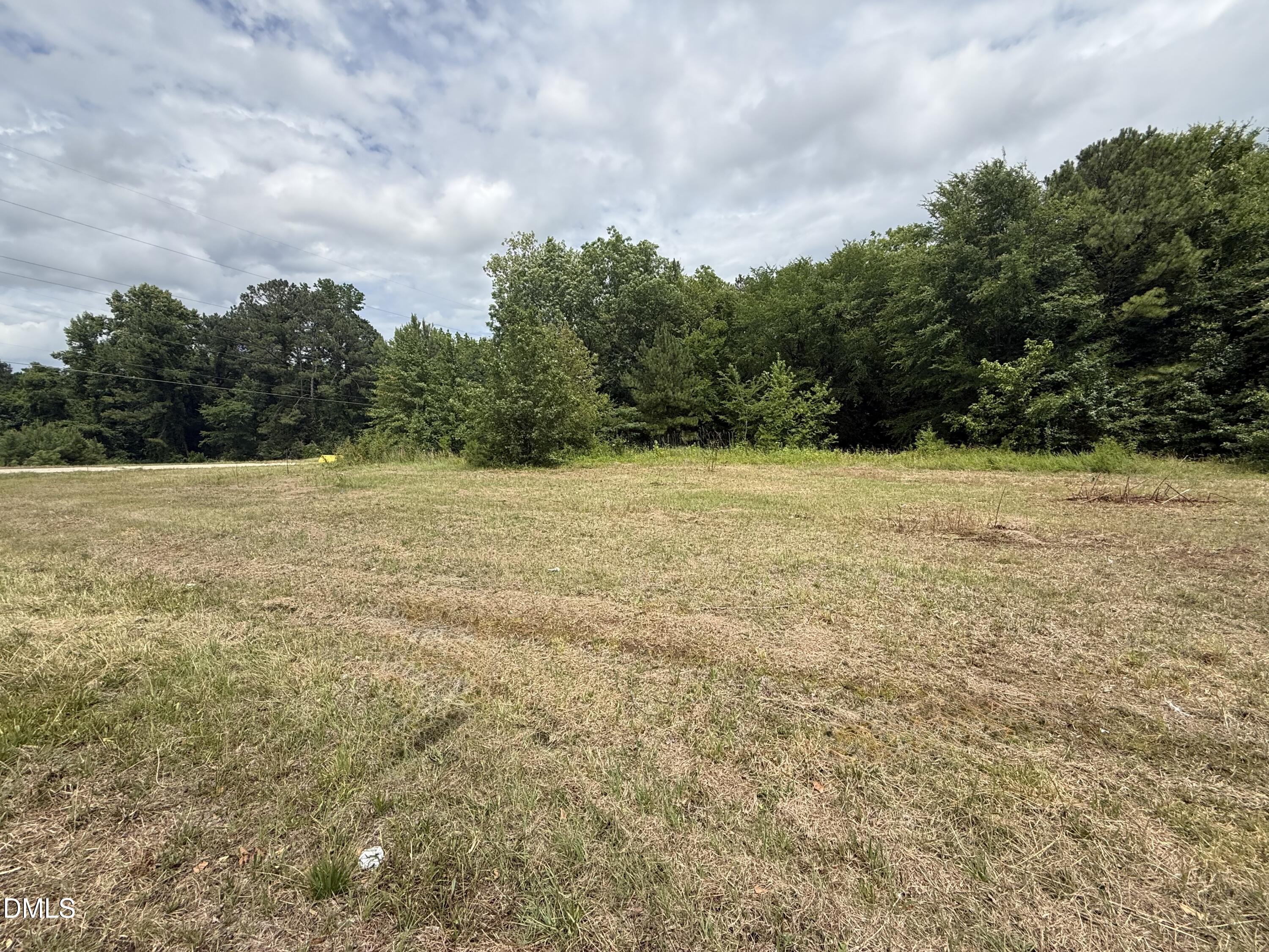 264 North 15th Street Erwin, NC 28339 - Photo 5 of 6