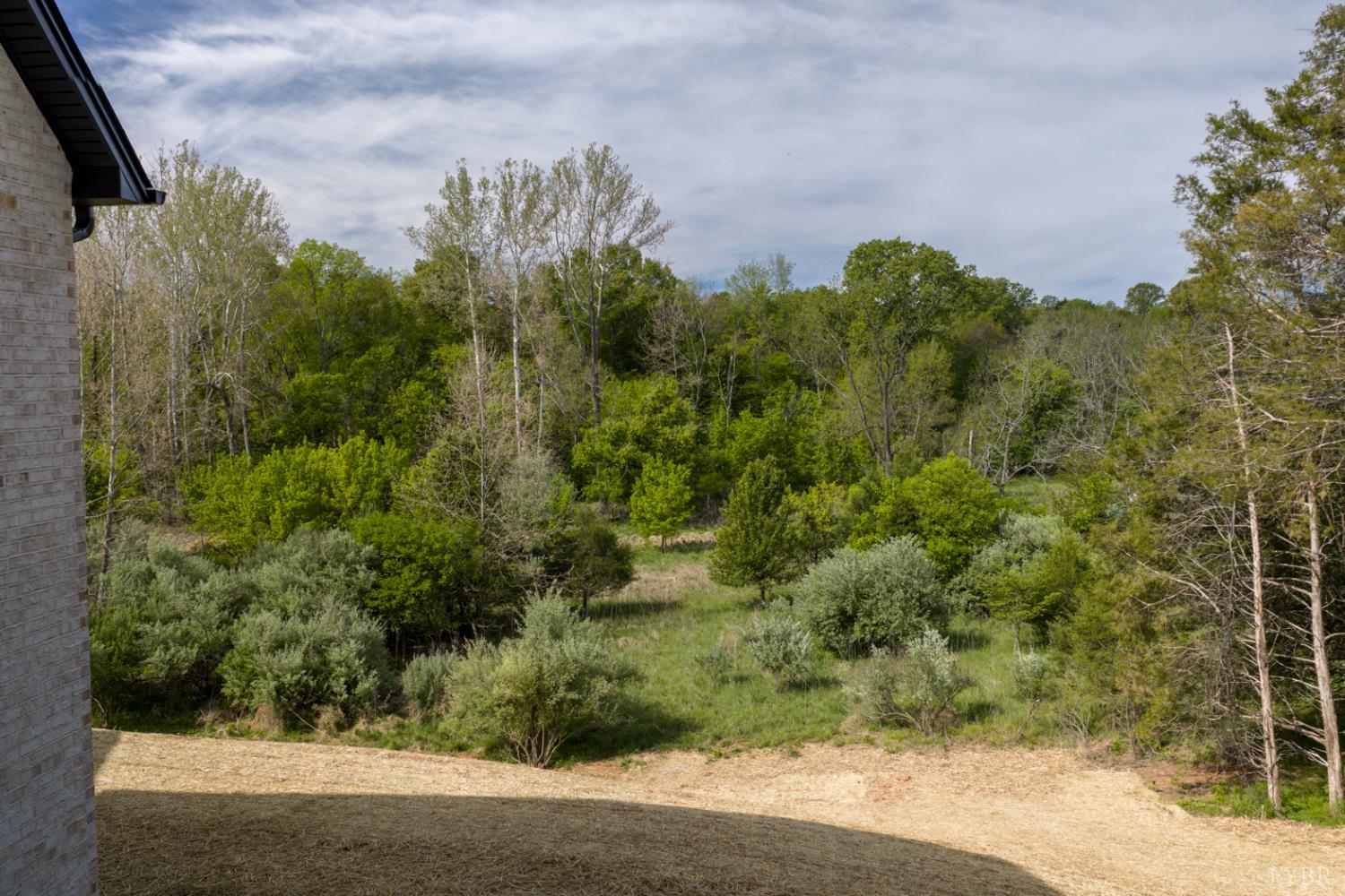 1488 Deer Hollow Road Forest, VA 24551 - Photo 58 of 68