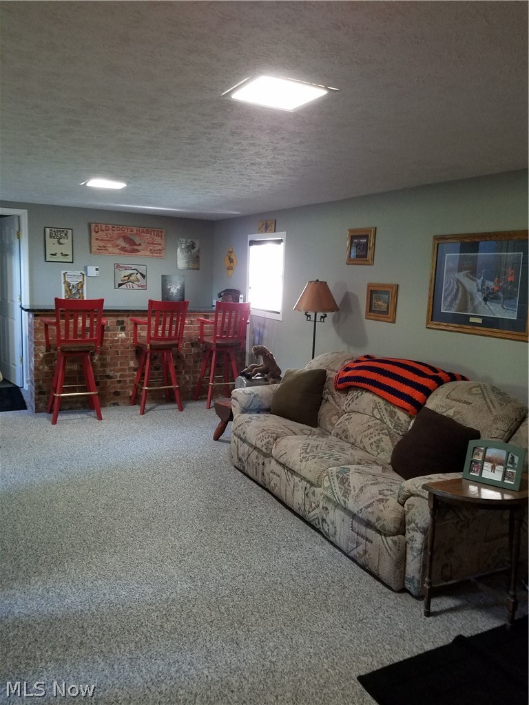 3870 North County Line Road Geneva, OH 44041 - Photo 10 of 18