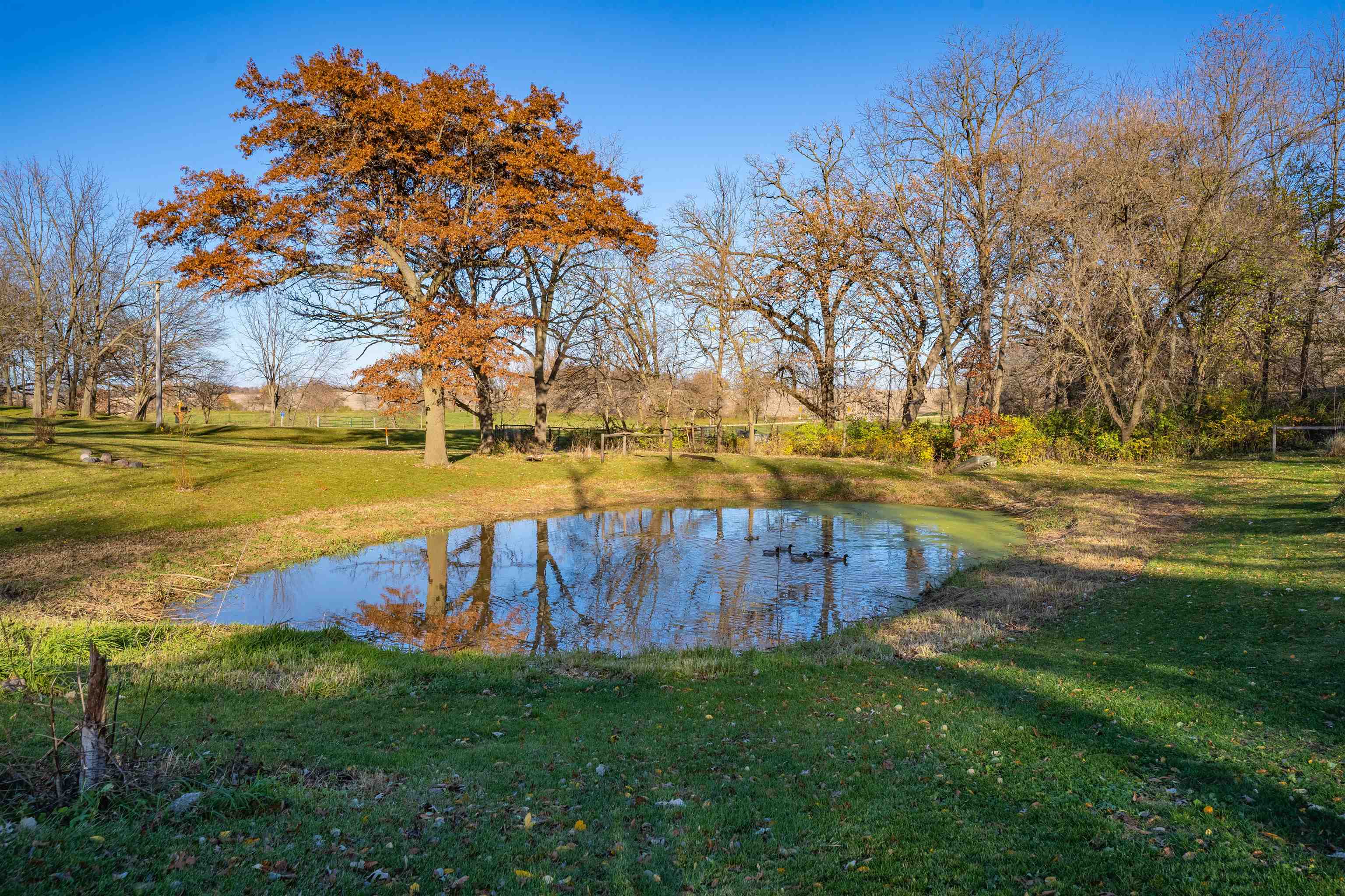 4333 West Sumner Road Leaf River, IL 61047 - Photo 5 of 41 Gallery Image 5