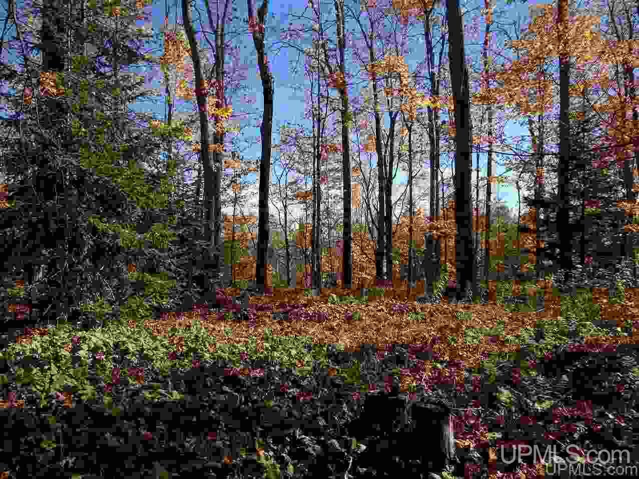 Tbd Payne Road Pelkie, MI 49958 - Photo 8 of 19