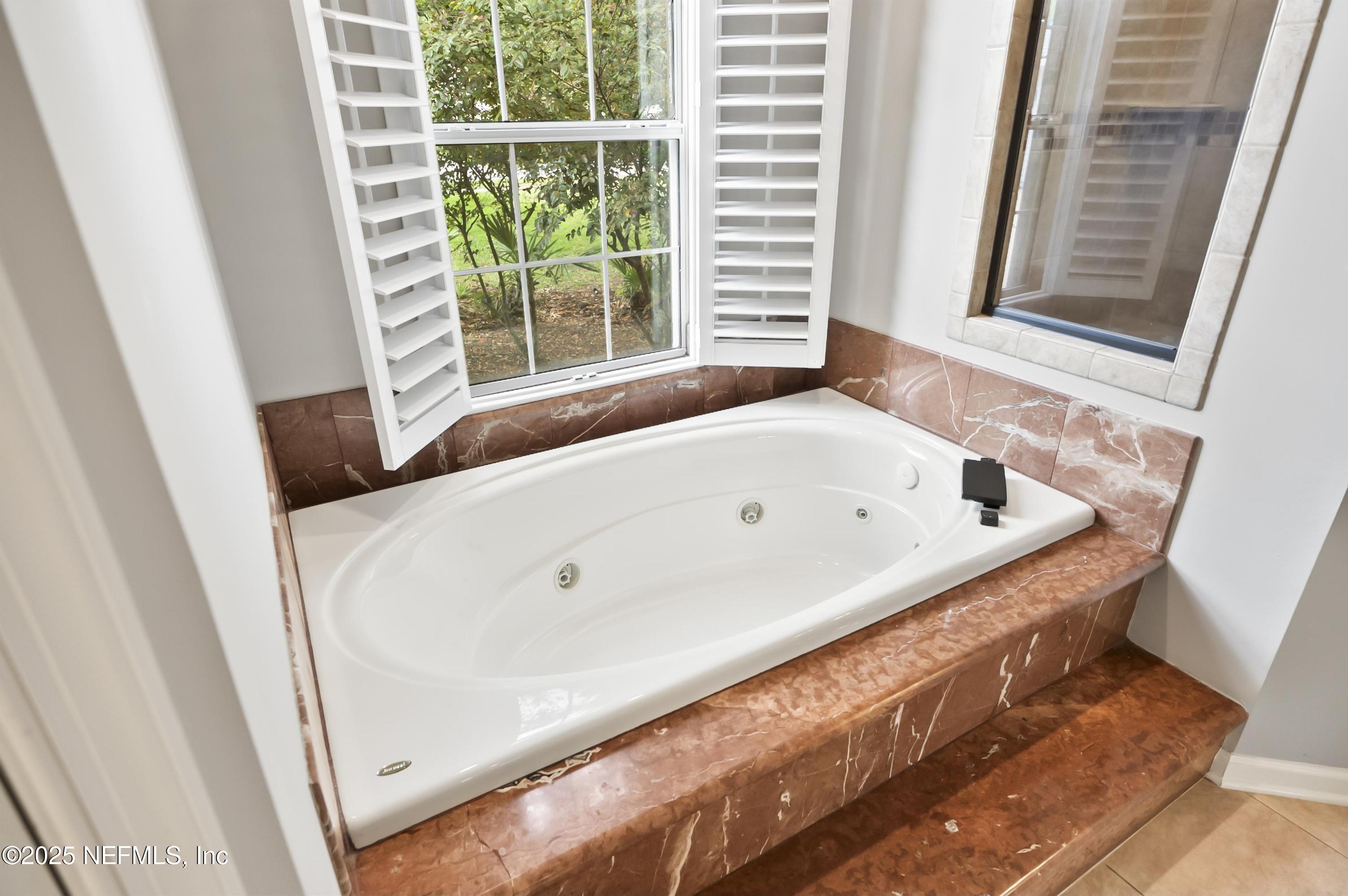 649 Treehouse Circle St. Augustine, FL 32095 - Photo 50 of 207 Jetted Tub