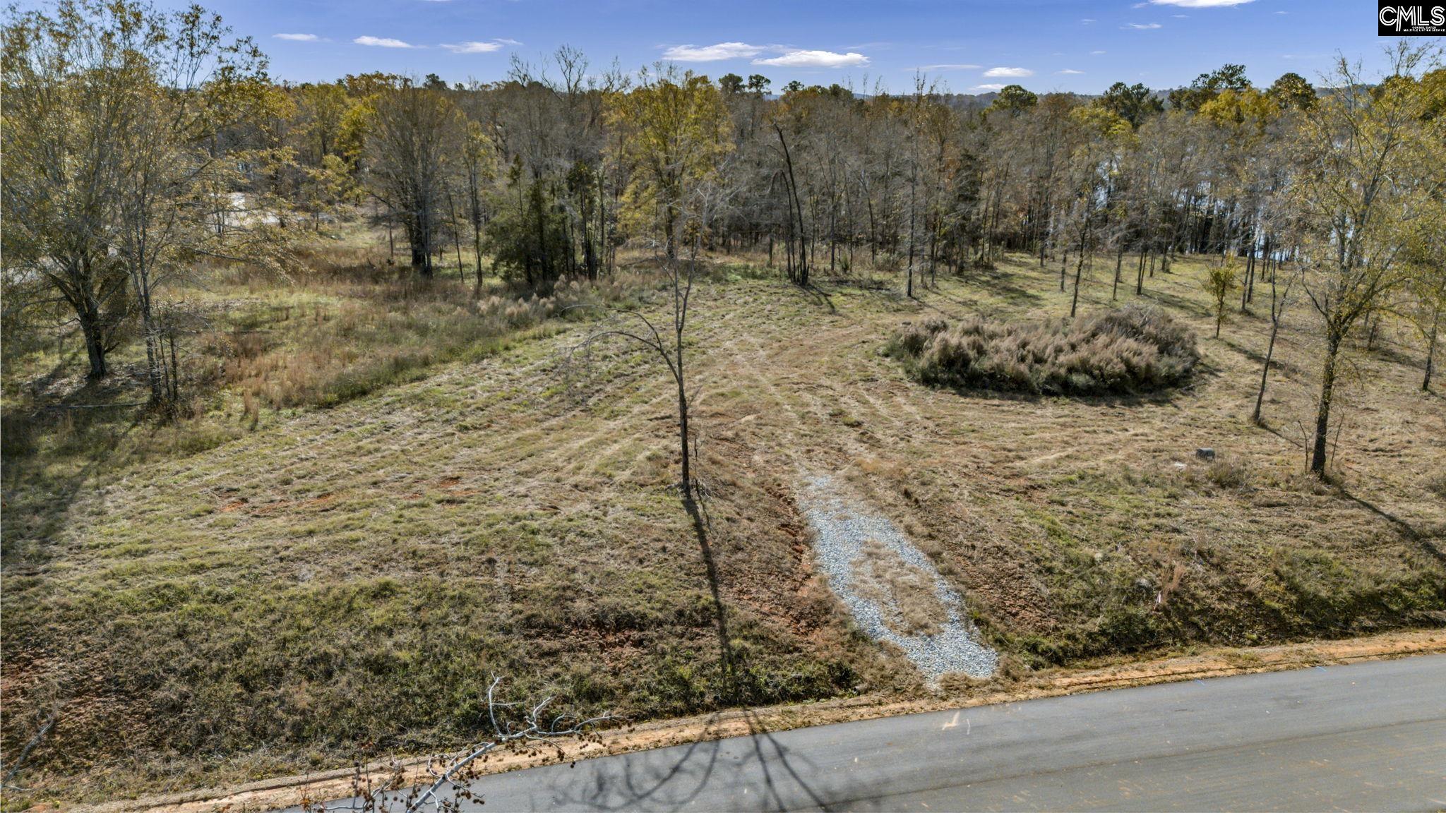 0 Bridge View Prosperity, SC 29127 - Photo 7 of 28